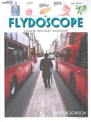 L’utilité du DSP expliqué dans le Flydoscope - Le DSP une solution locale englobant une vision européenne